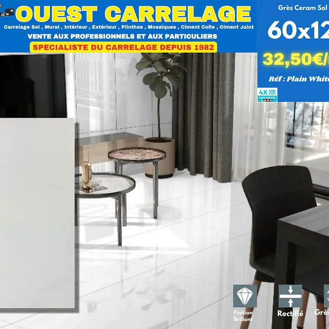 CARRELAGE MURAL BLANC